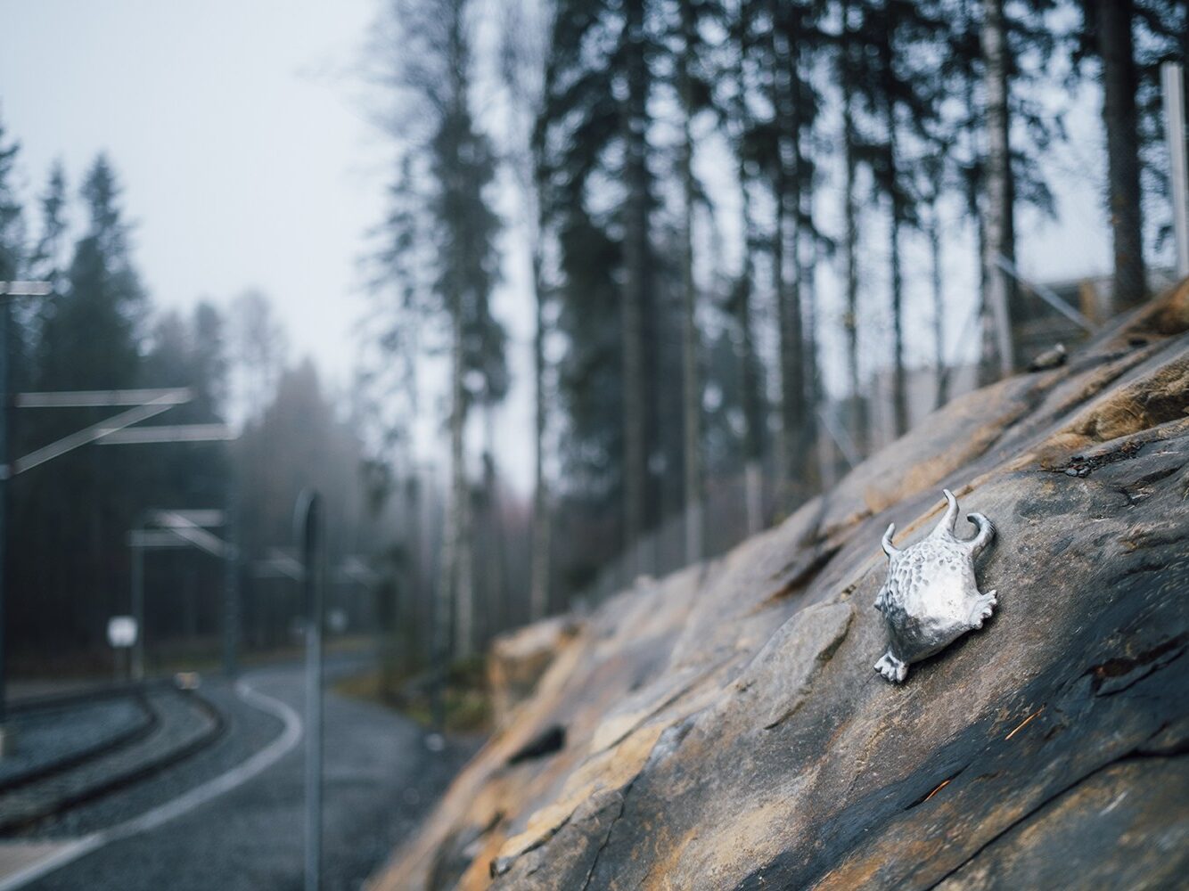 Pyhällönpuiston eliöt