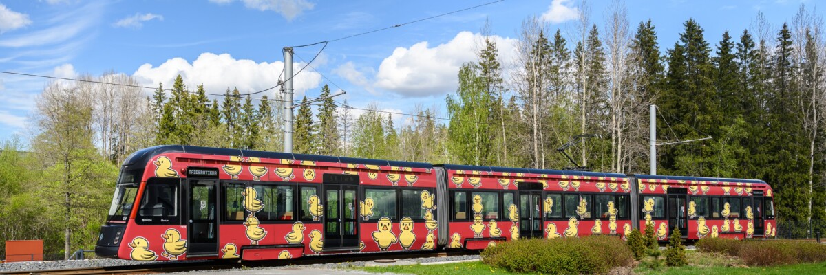 Ankkaratikka