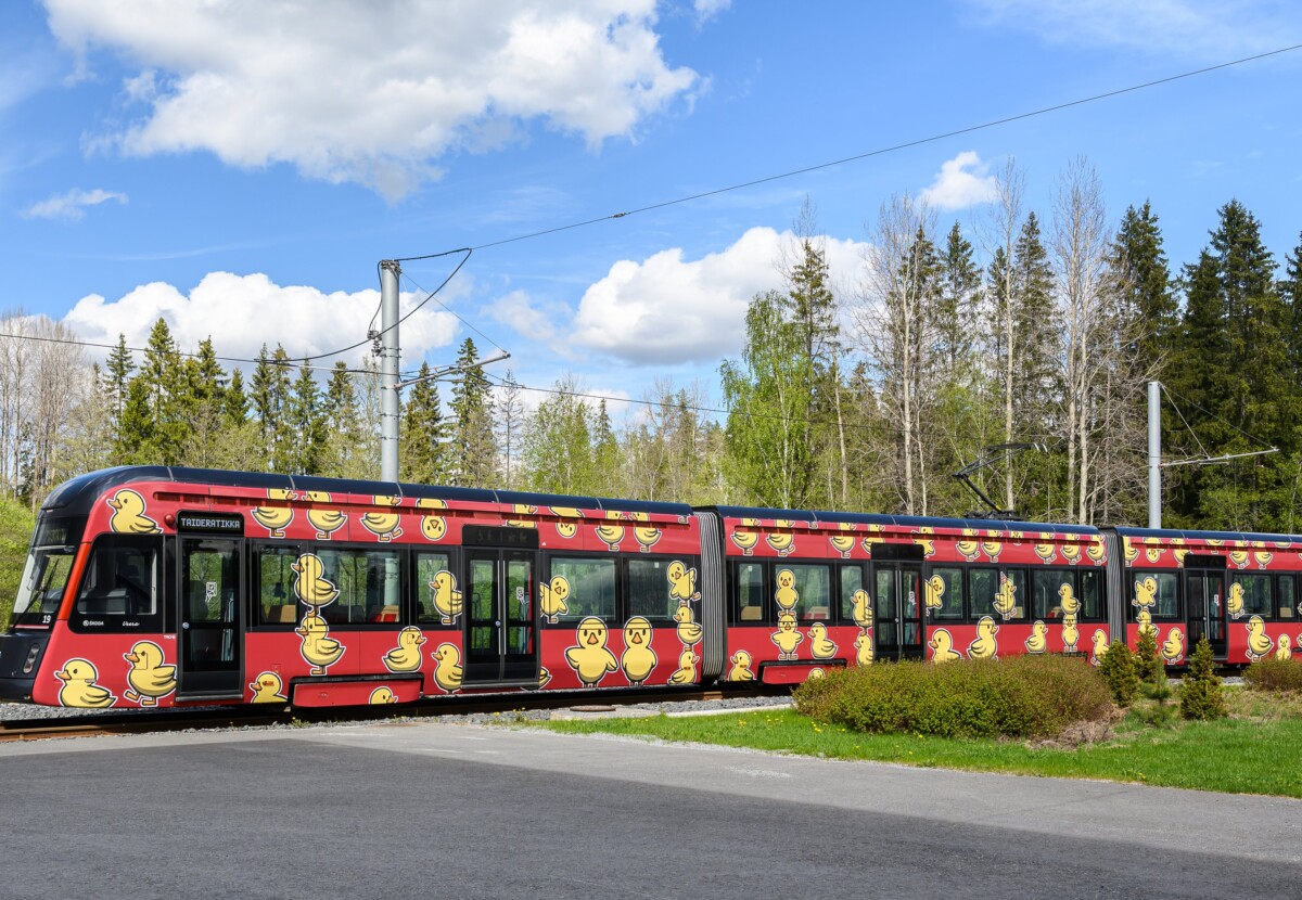 Ankkaratikka